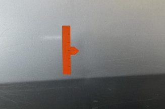 Porte arriere gauche DACIA LOGAN 1