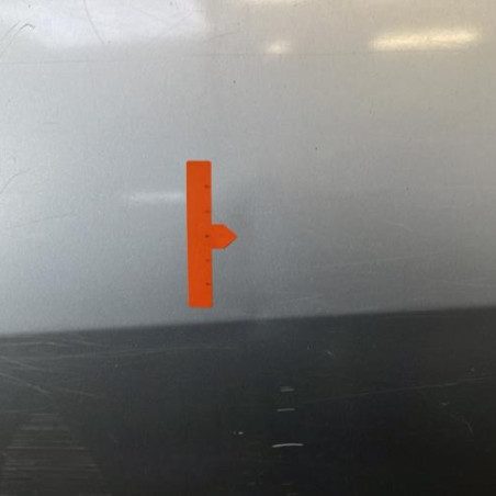 Porte arriere gauche DACIA LOGAN 1