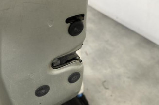 Porte arriere gauche DACIA LOGAN 1