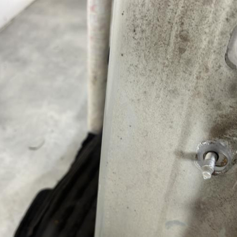 Porte arriere gauche DACIA LOGAN 1 Photo n°6