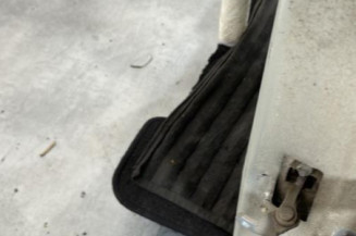 Porte arriere gauche DACIA LOGAN 1