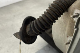 Porte arriere gauche DACIA LOGAN 1