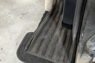 Porte avant gauche MERCEDES CLASSE B 245