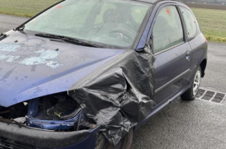 Feu arriere principal gauche (feux) PEUGEOT 206