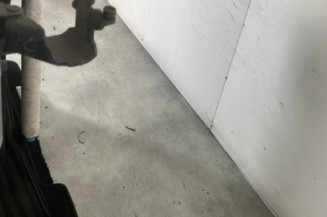 Porte arriere gauche MAZDA 5 1