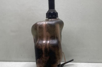 Vase de lave glace PEUGEOT 406