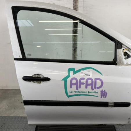 Porte avant droit RENAULT CLIO 3 Photo n°1