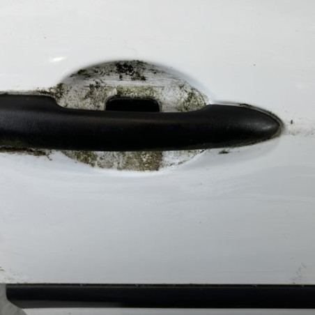 Porte avant droit RENAULT CLIO 3