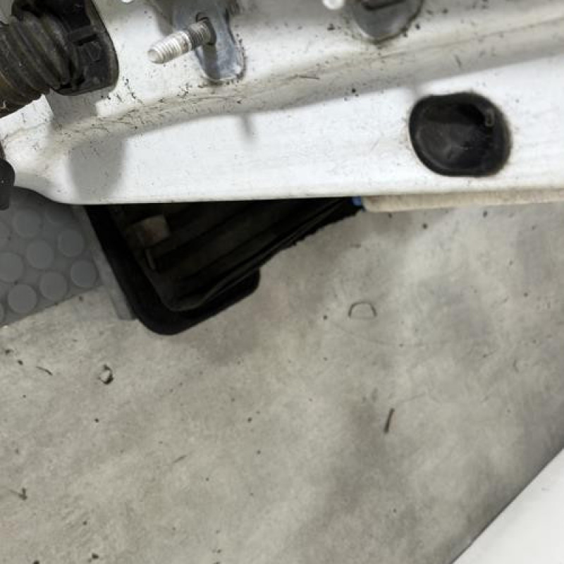 Porte avant droit RENAULT CLIO 3 Photo n°4