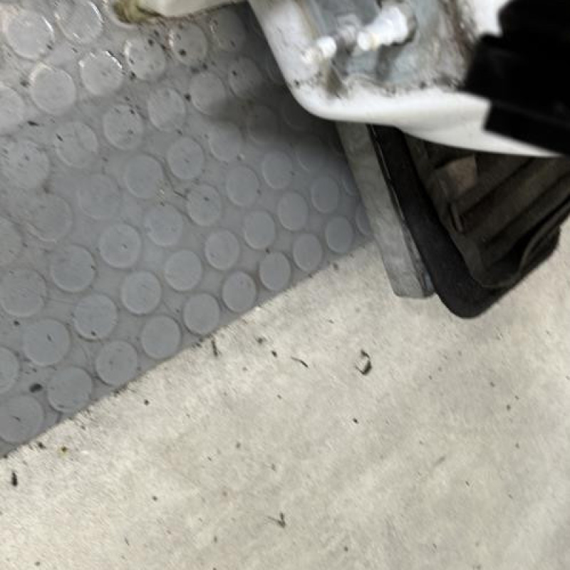 Porte avant droit RENAULT CLIO 3 Photo n°5