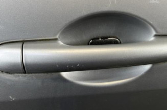 Porte arriere droit RENAULT MEGANE 2