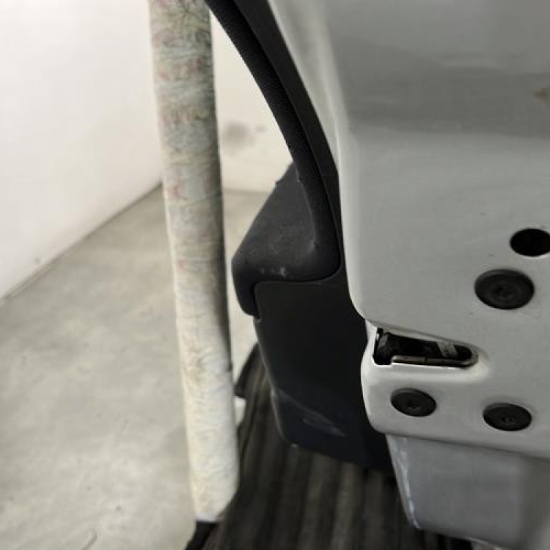 Porte arriere droit RENAULT MEGANE 2 Photo n°3