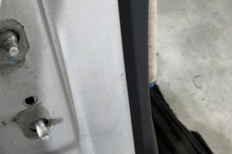 Porte arriere droit RENAULT MEGANE 2