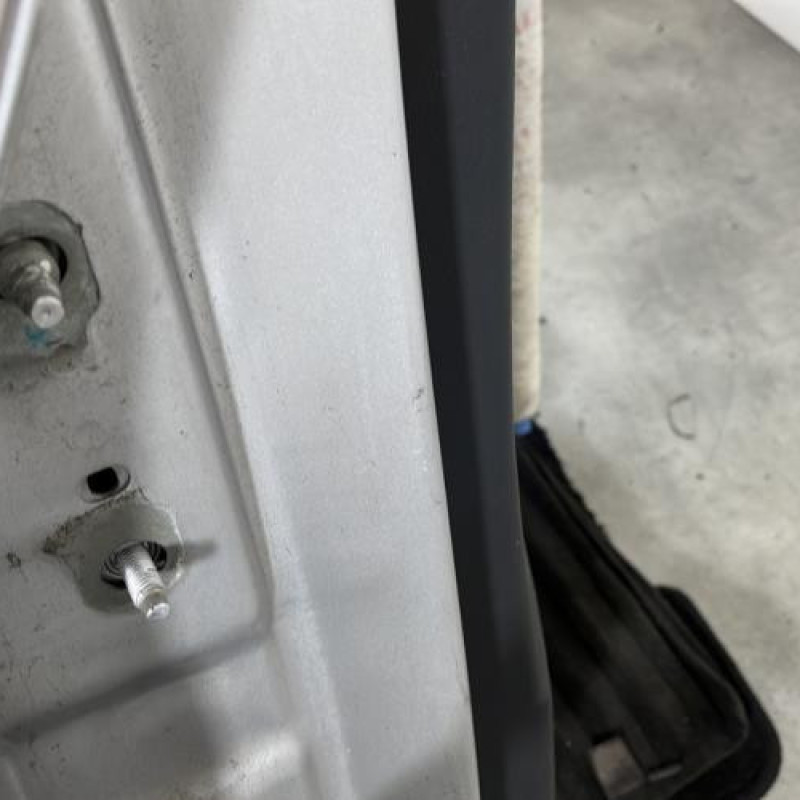 Porte arriere droit RENAULT MEGANE 2 Photo n°4