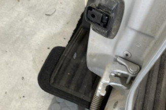 Porte arriere gauche RENAULT CLIO 4