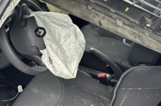 Porte arriere gauche RENAULT CLIO 4
