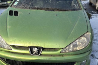Leve vitre electrique arriere gauche PEUGEOT 206