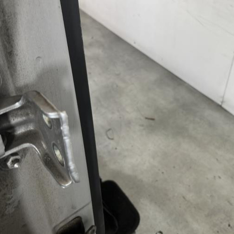 Porte arriere droit DACIA SANDERO 1 Photo n°4