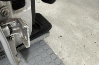 Porte arriere droit DACIA SANDERO 1