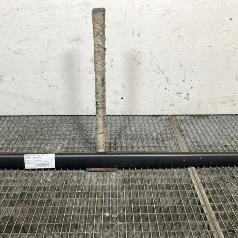 Baguette de porte avant gauche RENAULT TWINGO 2 Photo n°1