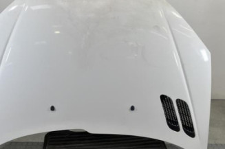 Capot PEUGEOT 206 Photo n°1