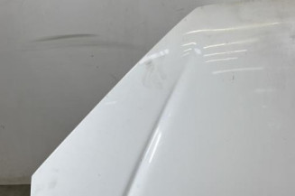 Capot PEUGEOT 206