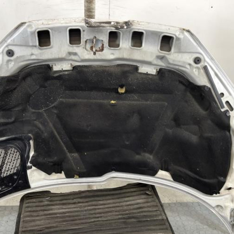 Capot PEUGEOT 206 Photo n°6