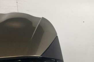 Malle/Hayon arriere CITROEN C4 GRAND PICASSO 2