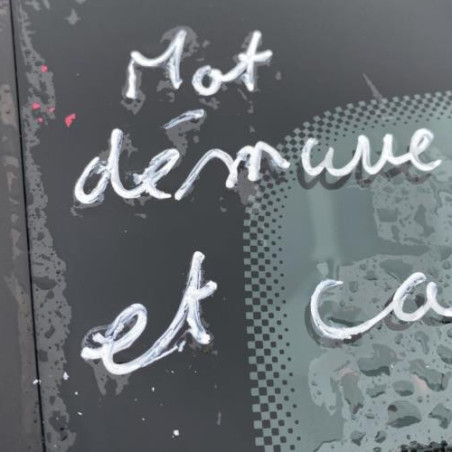 Moteur porte laterale droite DACIA SANDERO 2 Photo n°1