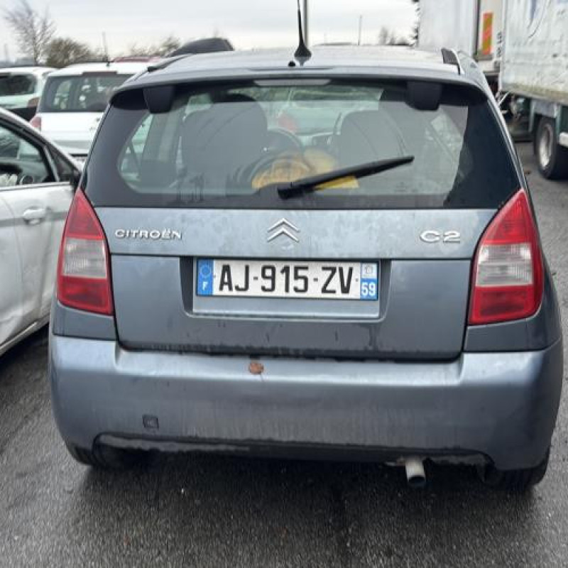 Custode arriere gauche CITROEN C2 Photo n°10
