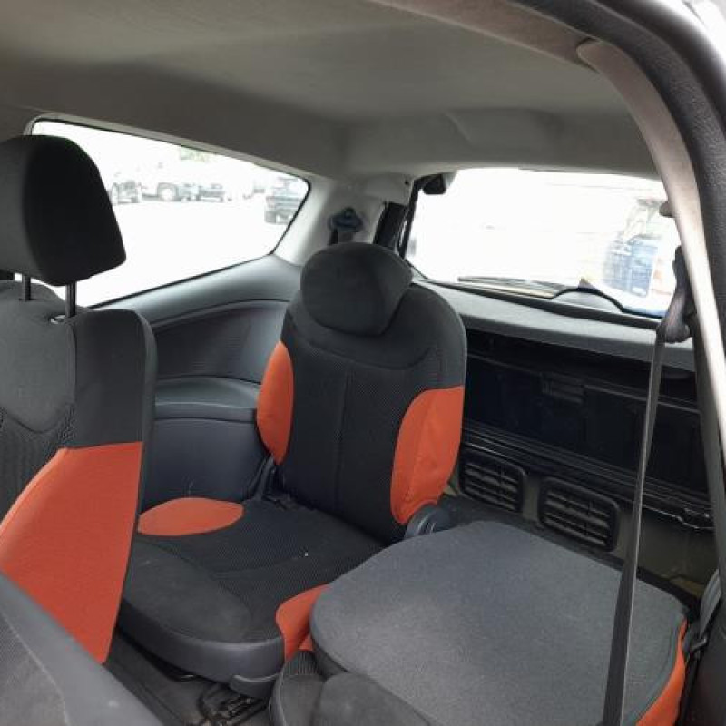 Custode arriere gauche CITROEN C2 Photo n°11