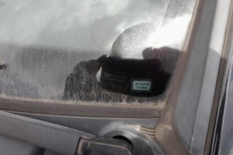 Custode arriere gauche CITROEN C2