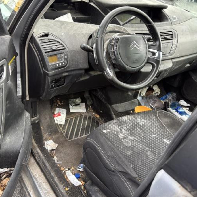 Custode arriere gauche CITROEN C4 GRAND PICASSO 1 Photo n°9