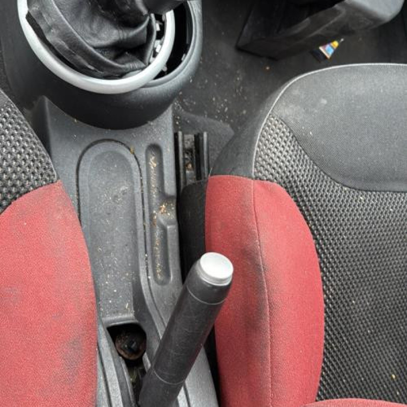 Custode arriere gauche CITROEN C2 Photo n°16