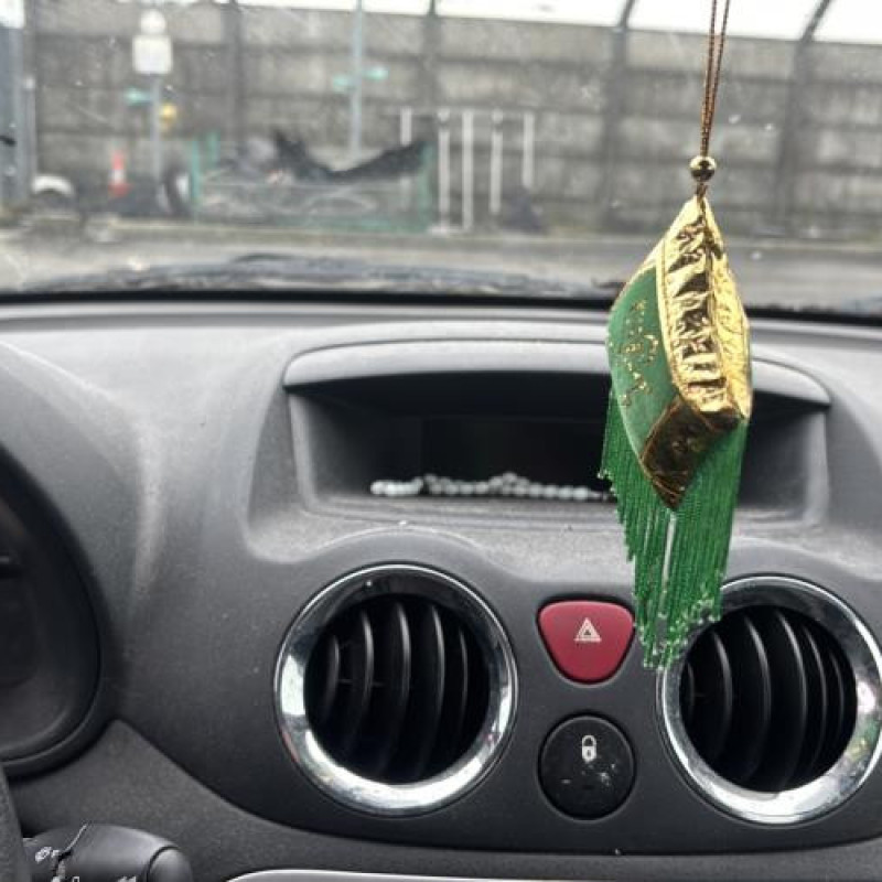 Custode arriere gauche CITROEN C2 Photo n°18