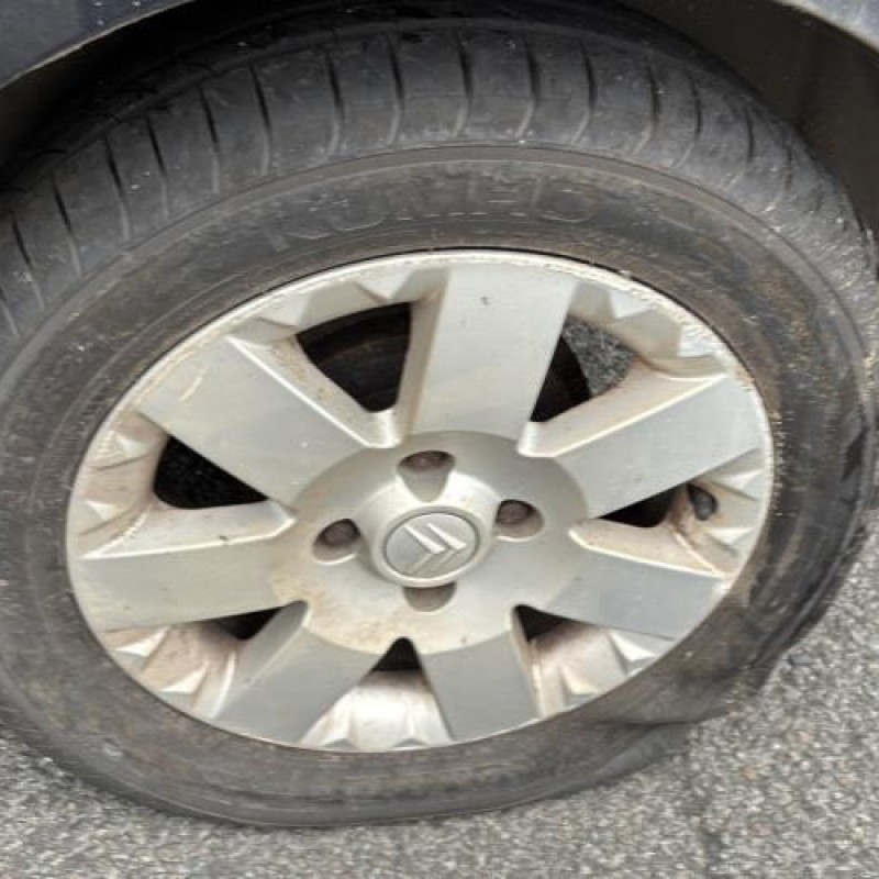 Custode arriere gauche CITROEN C2 Photo n°16