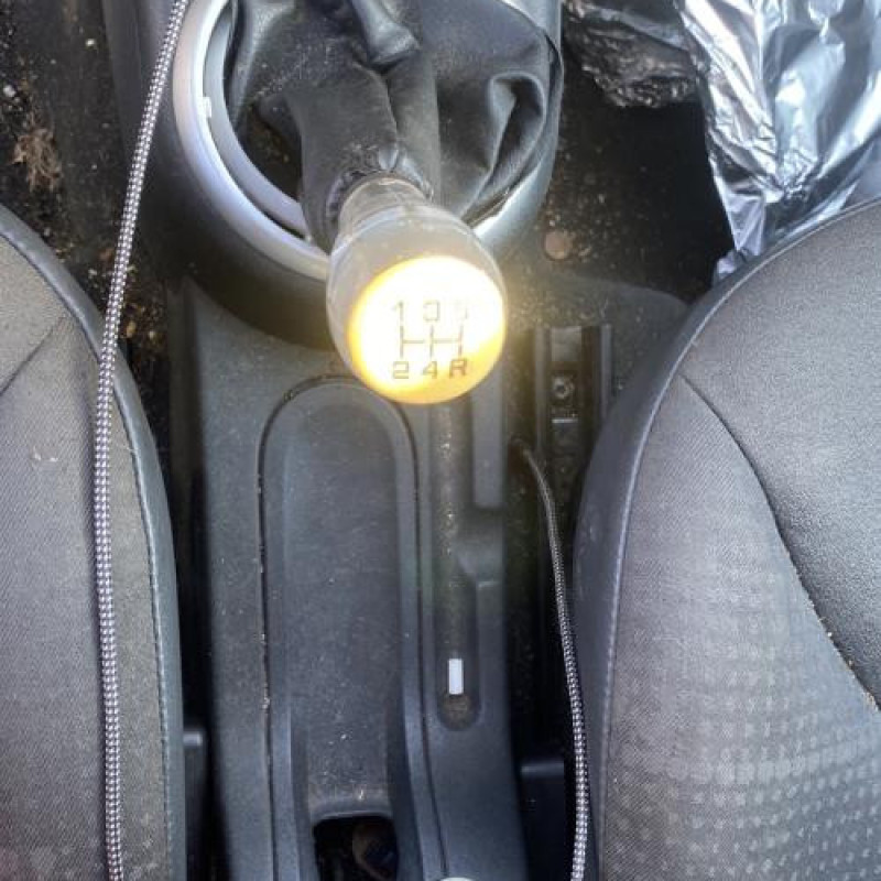 Custode arriere gauche CITROEN C2 Photo n°20