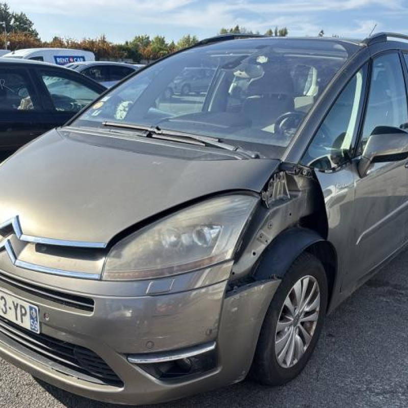 Custode arriere gauche CITROEN C4 GRAND PICASSO 1 Photo n°11