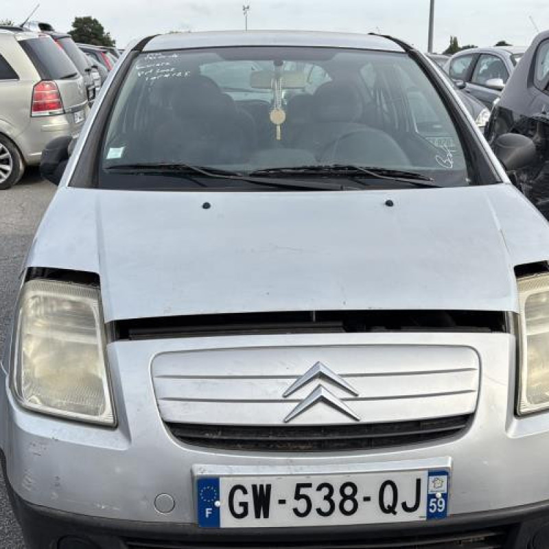 Custode arriere gauche CITROEN C2 Photo n°8