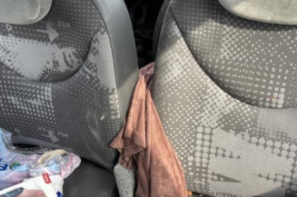 Custode arriere gauche CITROEN C2