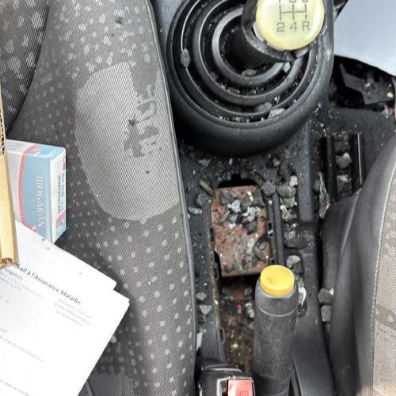 Custode arriere gauche CITROEN C2 Photo n°15