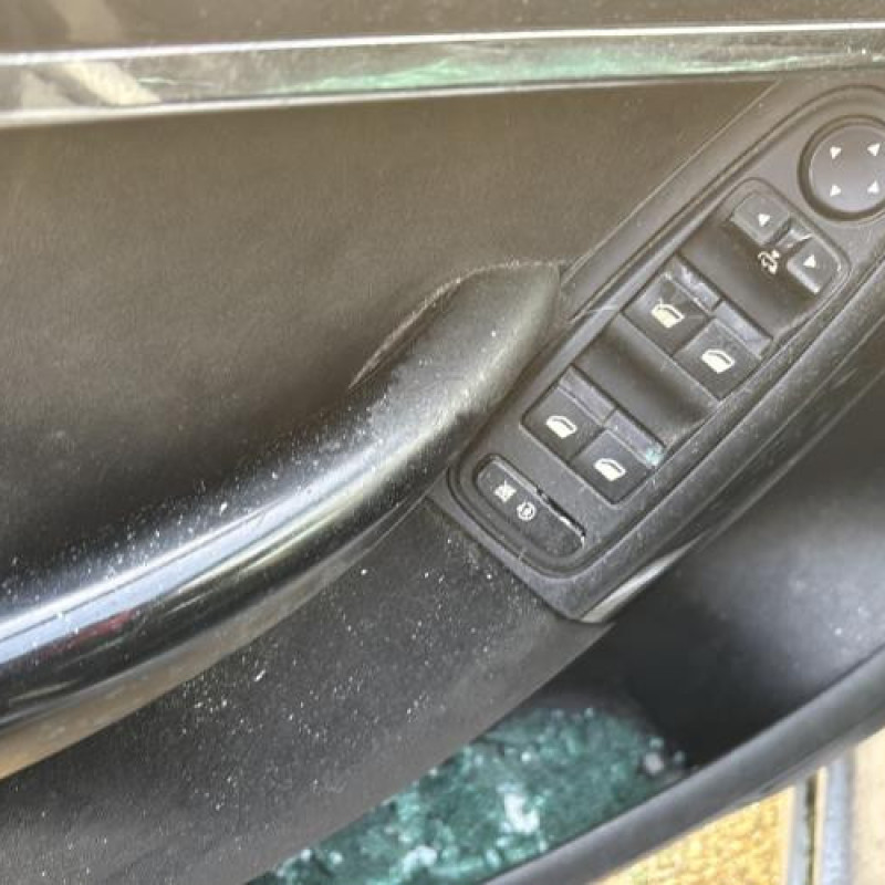 Custode arriere gauche CITROEN C4 GRAND PICASSO 1 Photo n°10