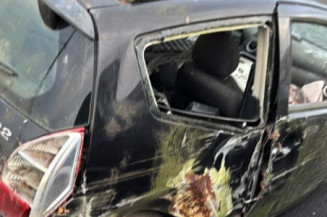 Custode arriere gauche CITROEN C2