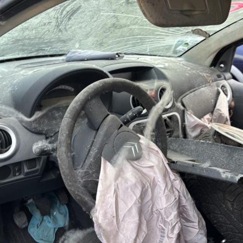 Custode arriere gauche CITROEN C2 Photo n°11