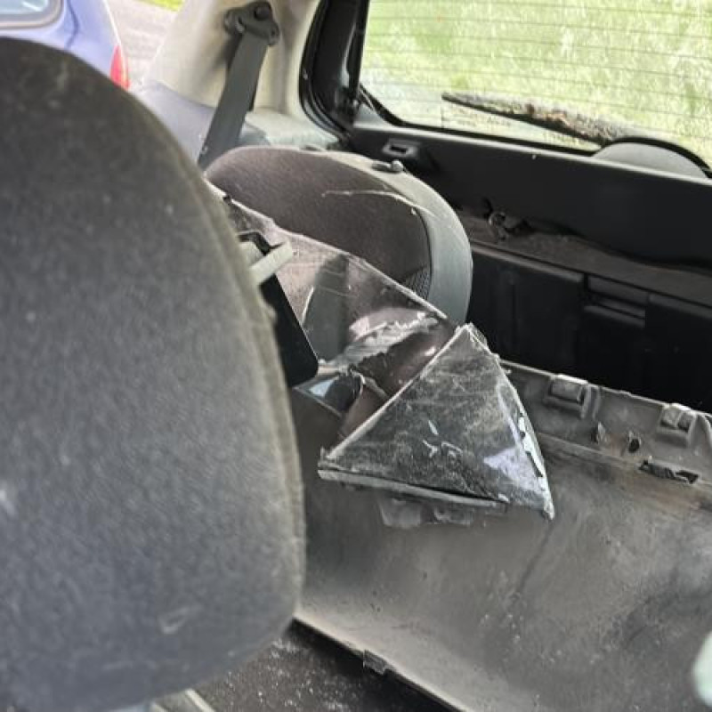 Custode arriere gauche CITROEN C2 Photo n°12