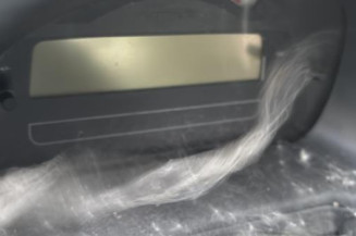 Custode arriere gauche CITROEN C2