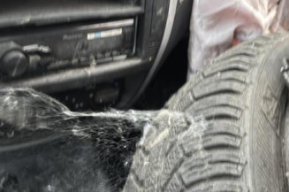 Custode arriere gauche CITROEN C2