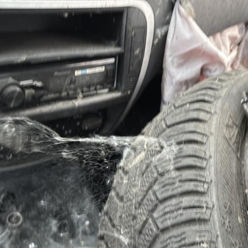 Custode arriere gauche CITROEN C2 Photo n°16