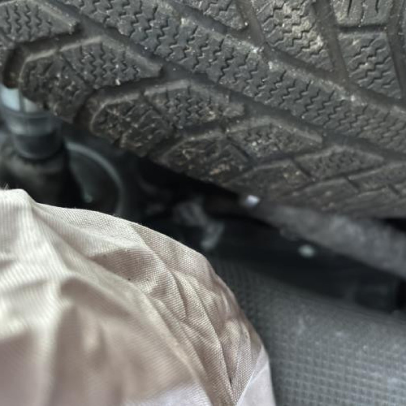 Custode arriere gauche CITROEN C2 Photo n°17