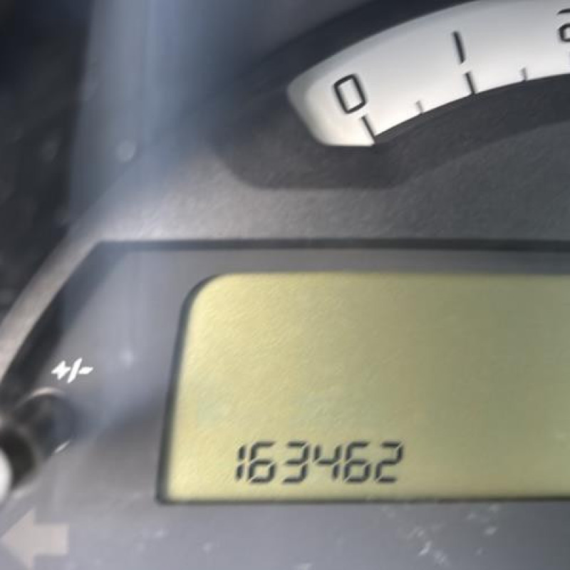 Custode arriere gauche CITROEN C2 Photo n°15